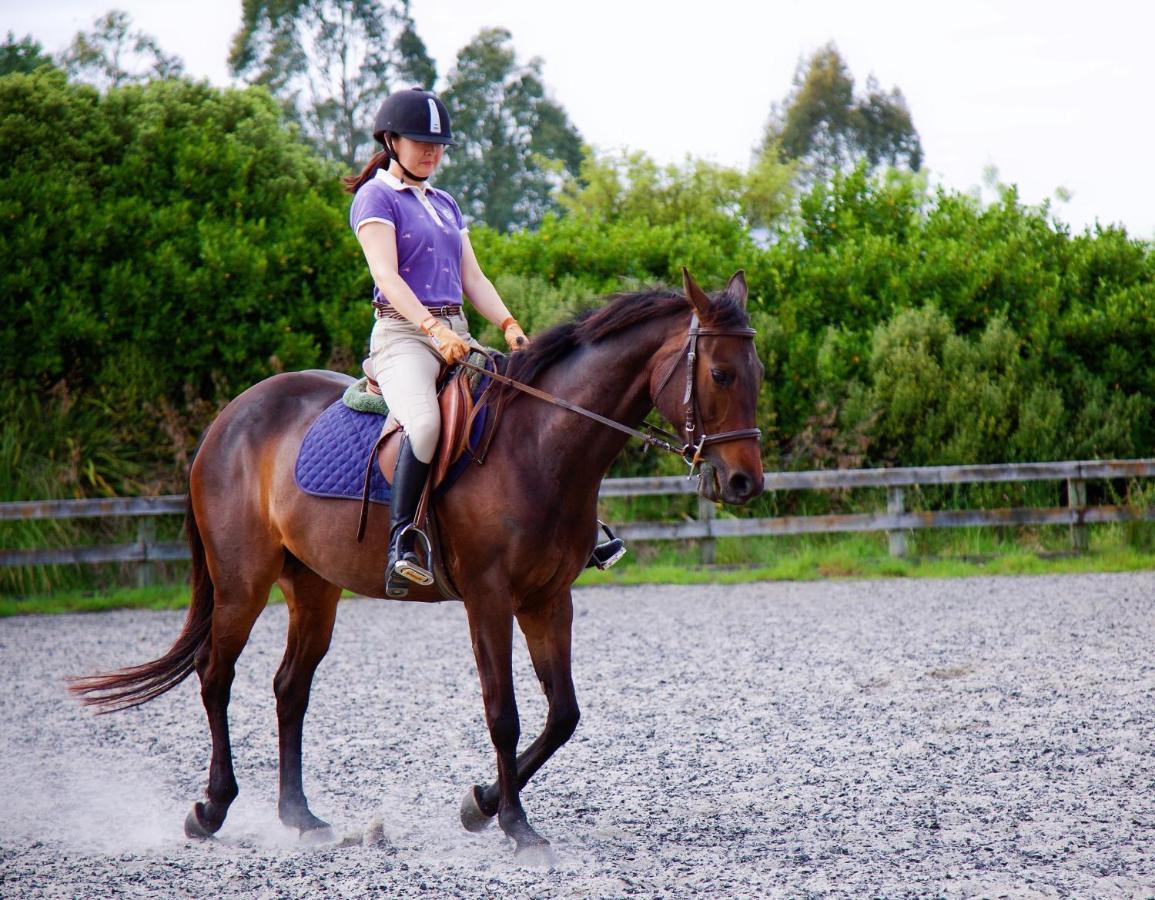 לינה וארוחת בוקר Tamahere Unique Equestrian Lifestyle מראה חיצוני תמונה