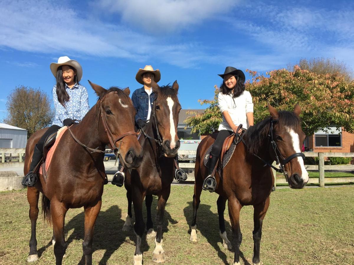 לינה וארוחת בוקר Tamahere Unique Equestrian Lifestyle מראה חיצוני תמונה