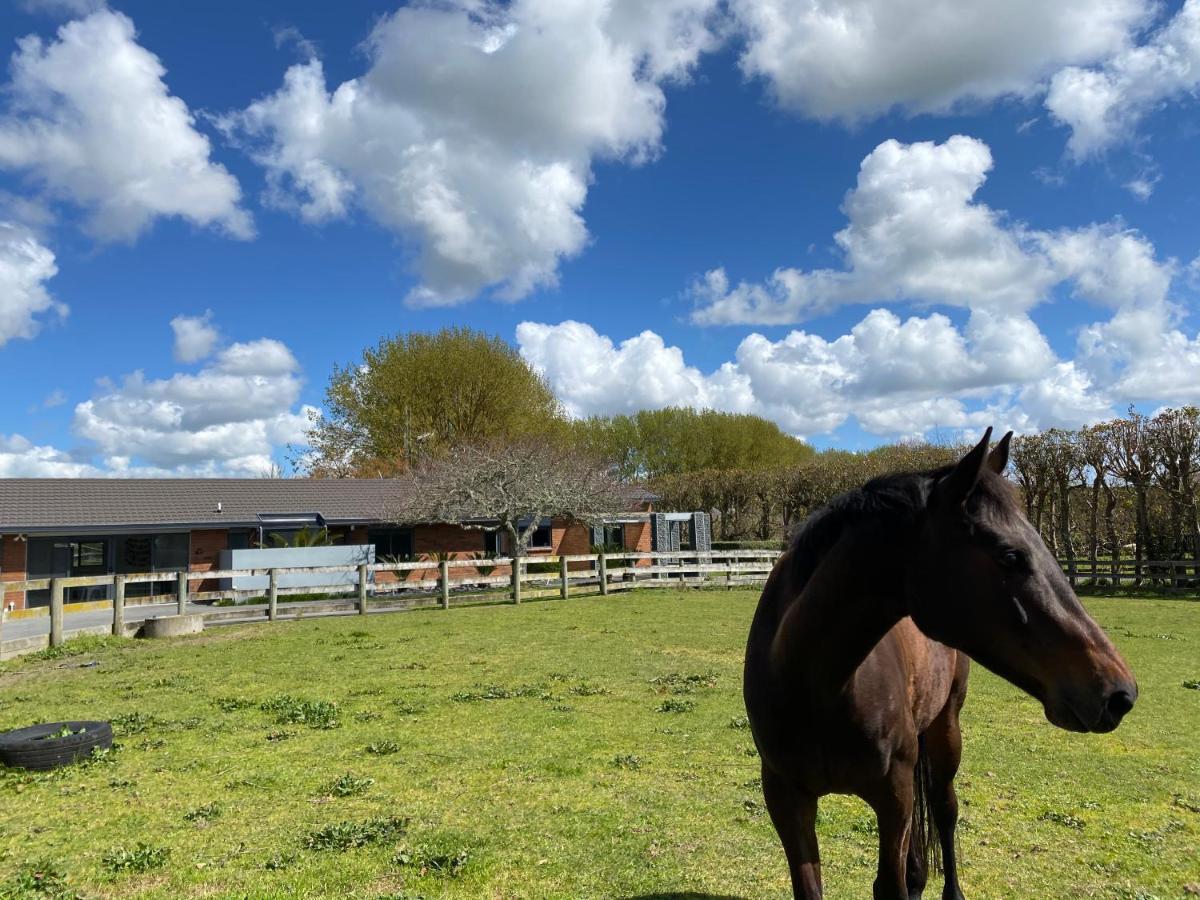לינה וארוחת בוקר Tamahere Unique Equestrian Lifestyle מראה חיצוני תמונה