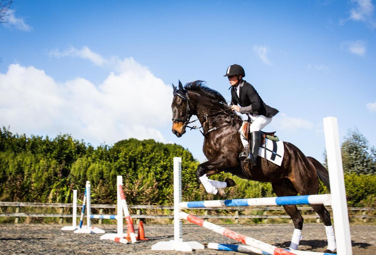 לינה וארוחת בוקר Tamahere Unique Equestrian Lifestyle מראה חיצוני תמונה