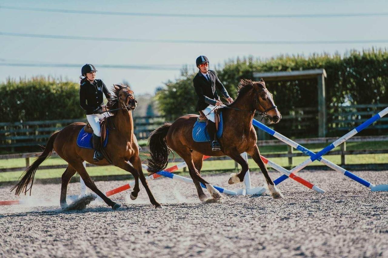 לינה וארוחת בוקר Tamahere Unique Equestrian Lifestyle מראה חיצוני תמונה