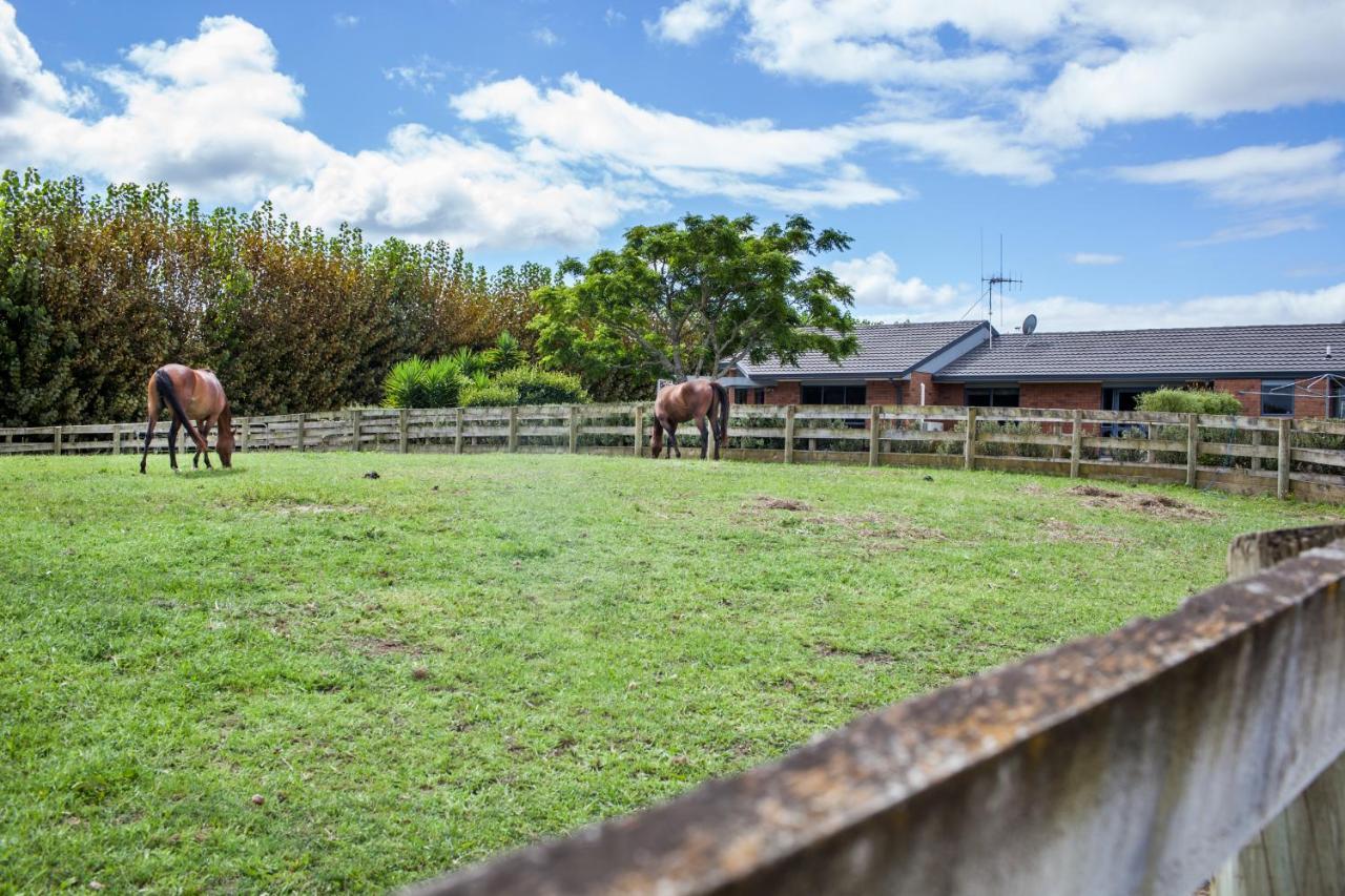 לינה וארוחת בוקר Tamahere Unique Equestrian Lifestyle מראה חיצוני תמונה