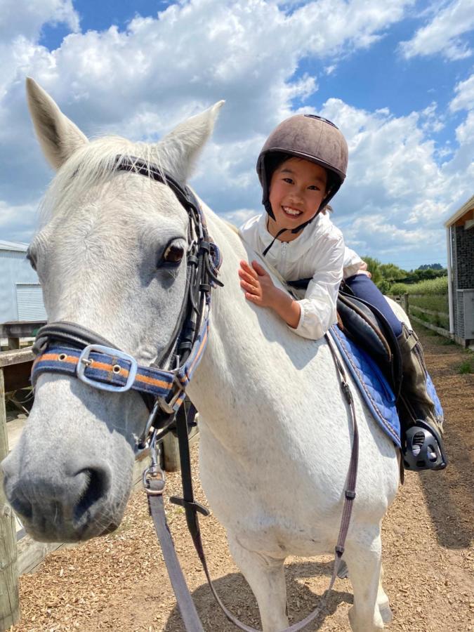 לינה וארוחת בוקר Tamahere Unique Equestrian Lifestyle מראה חיצוני תמונה