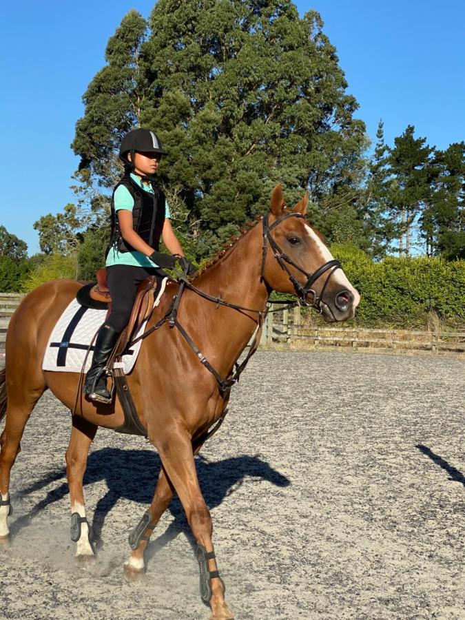 לינה וארוחת בוקר Tamahere Unique Equestrian Lifestyle מראה חיצוני תמונה